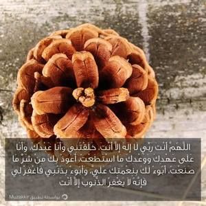 Meet your Posher, Ahmed